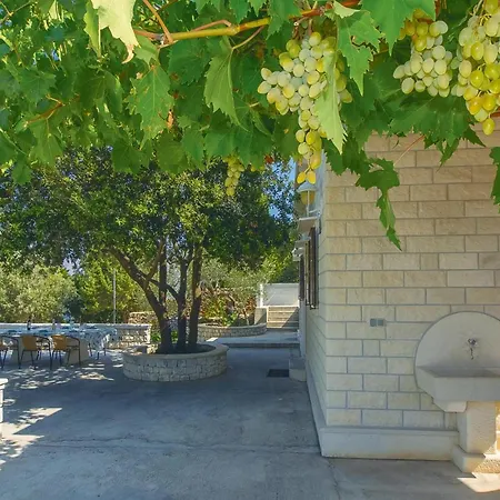 Pet Friendly In With House Sea View *